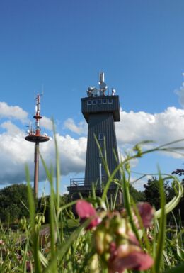 Landschaftsaufnahme mit Blick auf den Pleßturm